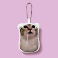 Drooling cat keychain with recording speaker (No.1)