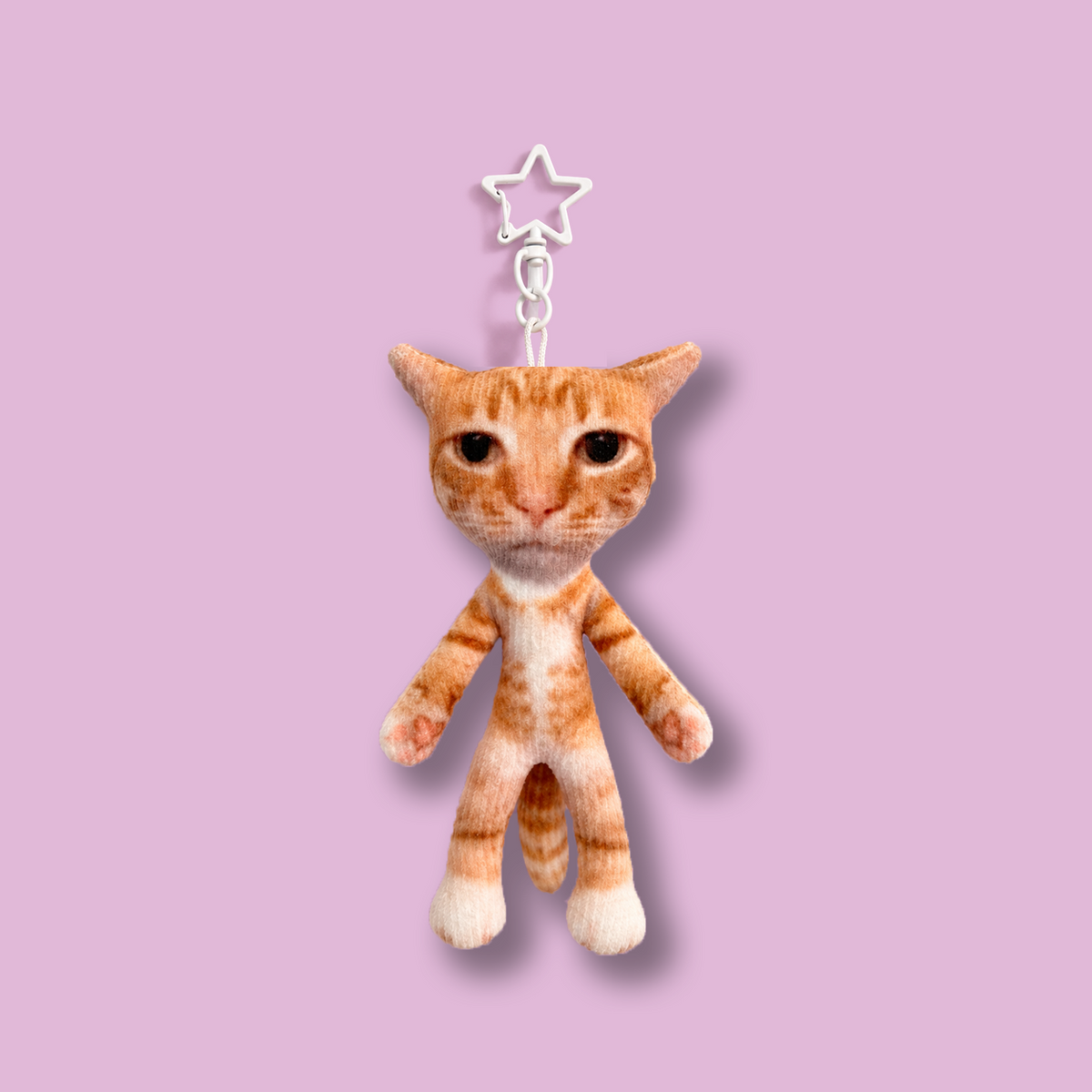 Catmeme keychian plushie