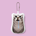 Drooling cat keychain with recording speaker (No.3)