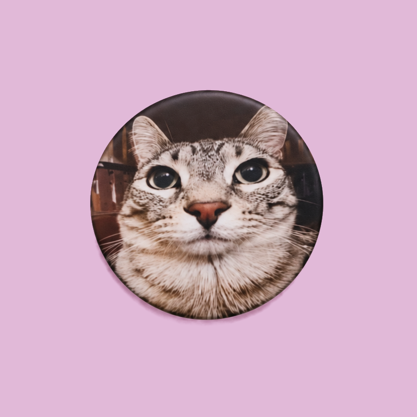 Catmeme Pins Pack