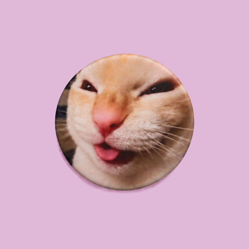 Catmeme Pins Pack