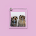 Drooling cat GIF dynamic keychain