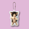 Scuba cat keychain with speaker